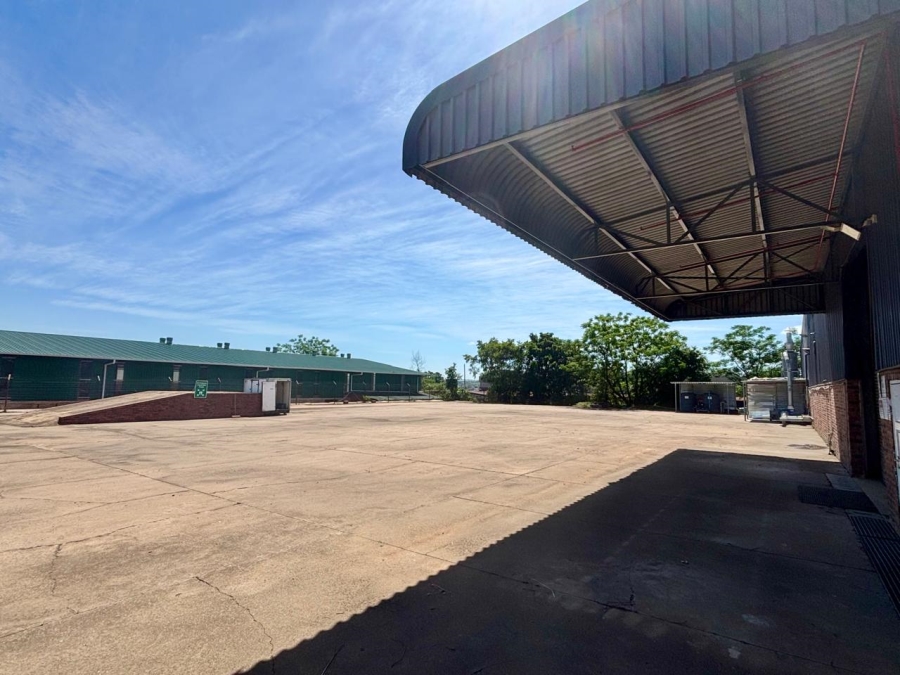 To Let Commercial Property for Rent in Mkondeni KwaZulu-Natal