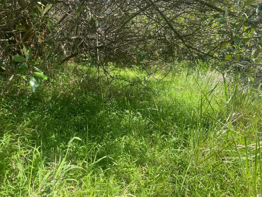 0 Bedroom Property for Sale in Simbithi Eco Estate KwaZulu-Natal