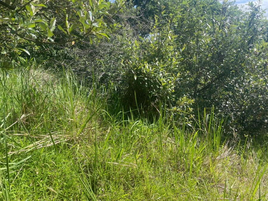 0 Bedroom Property for Sale in Simbithi Eco Estate KwaZulu-Natal