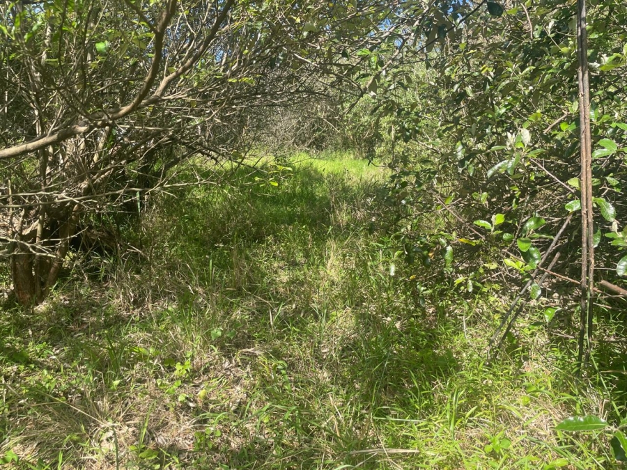 0 Bedroom Property for Sale in Simbithi Eco Estate KwaZulu-Natal