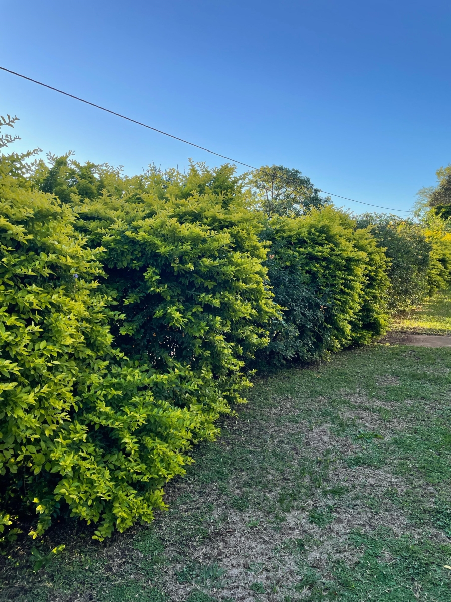 7 Bedroom Property for Sale in Scottsville KwaZulu-Natal