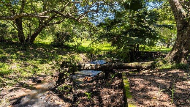 3 Bedroom Property for Sale in Waterfall KwaZulu-Natal