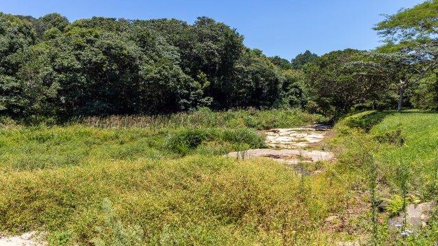 3 Bedroom Property for Sale in Waterfall KwaZulu-Natal