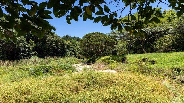 3 Bedroom Property for Sale in Waterfall KwaZulu-Natal
