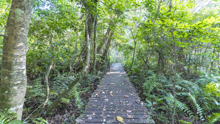 4 Bedroom Property for Sale in Elaleni Coastal Forest Estate KwaZulu-Natal