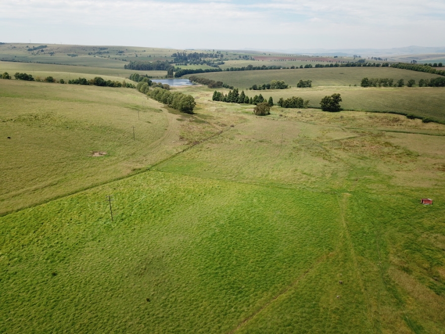 4 Bedroom Property for Sale in Mooi River KwaZulu-Natal