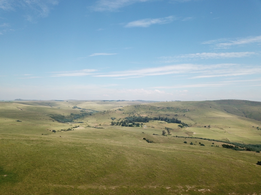 4 Bedroom Property for Sale in Mooi River KwaZulu-Natal