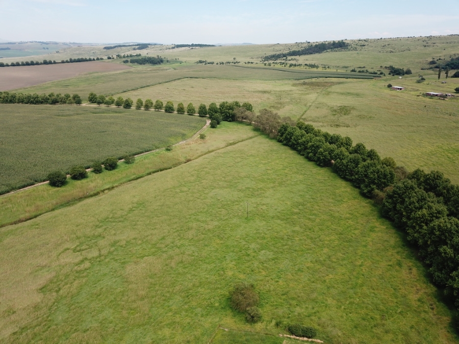 4 Bedroom Property for Sale in Mooi River KwaZulu-Natal