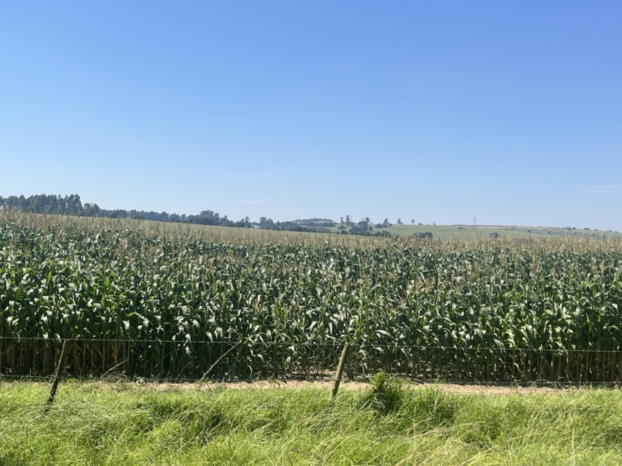 4 Bedroom Property for Sale in Mooi River KwaZulu-Natal