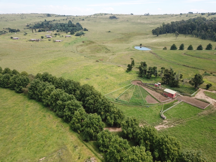 4 Bedroom Property for Sale in Mooi River KwaZulu-Natal