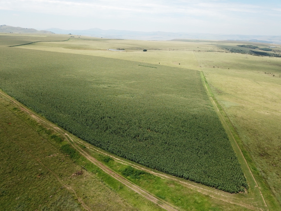 4 Bedroom Property for Sale in Mooi River KwaZulu-Natal