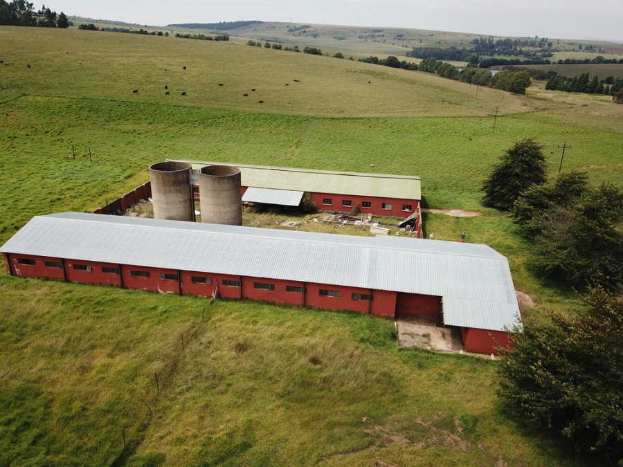 4 Bedroom Property for Sale in Mooi River KwaZulu-Natal