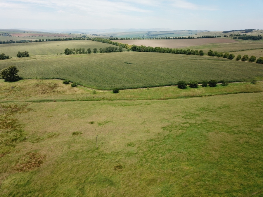 4 Bedroom Property for Sale in Mooi River KwaZulu-Natal