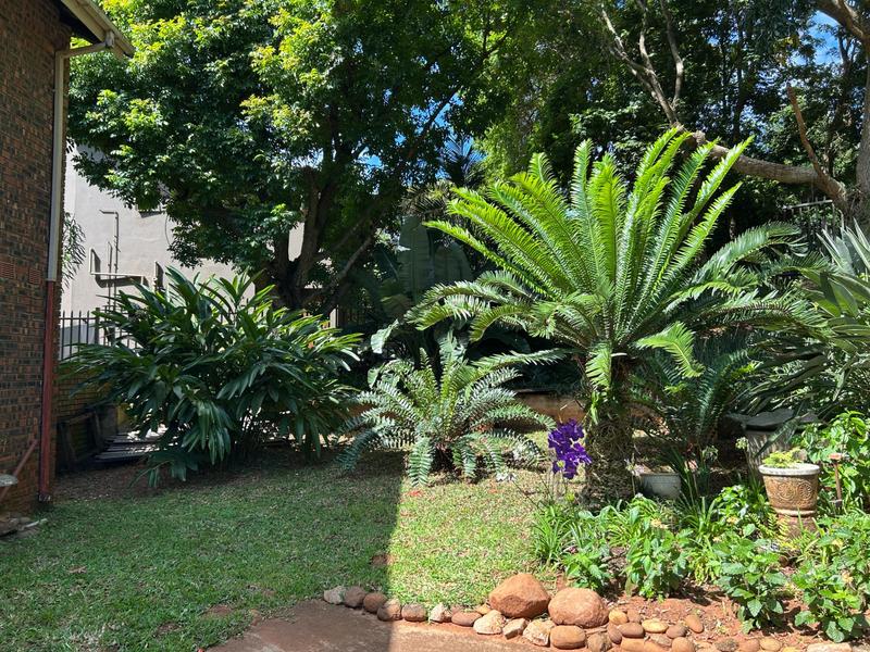 4 Bedroom Property for Sale in Mtunzini KwaZulu-Natal