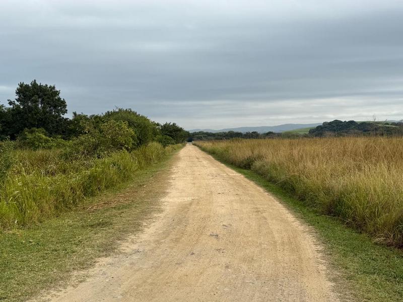 0 Bedroom Property for Sale in Zini River Estate KwaZulu-Natal