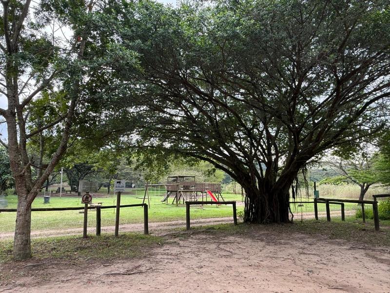 0 Bedroom Property for Sale in Zini River Estate KwaZulu-Natal