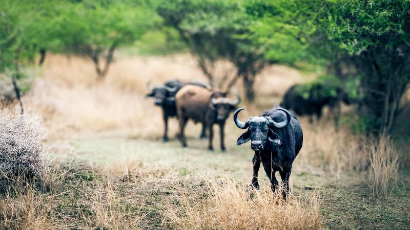 2 Bedroom Property for Sale in Tinley Manor KwaZulu-Natal