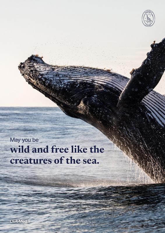 2 Bedroom Property for Sale in Tinley Manor KwaZulu-Natal