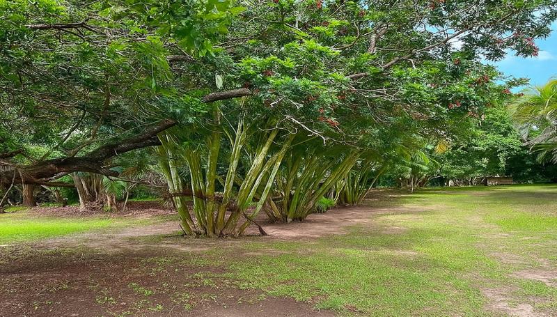 To Let 4 Bedroom Property for Rent in Port Edward KwaZulu-Natal