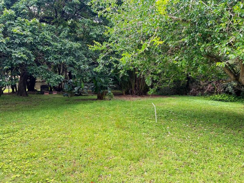 To Let 4 Bedroom Property for Rent in Port Edward KwaZulu-Natal