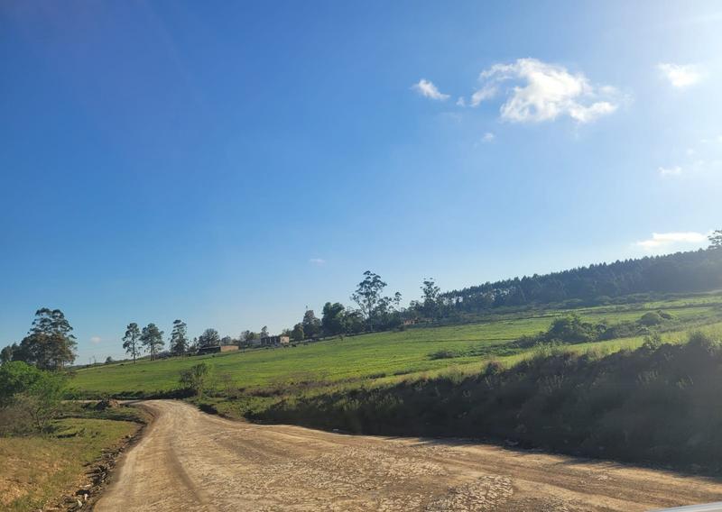 0 Bedroom Property for Sale in Harding KwaZulu-Natal