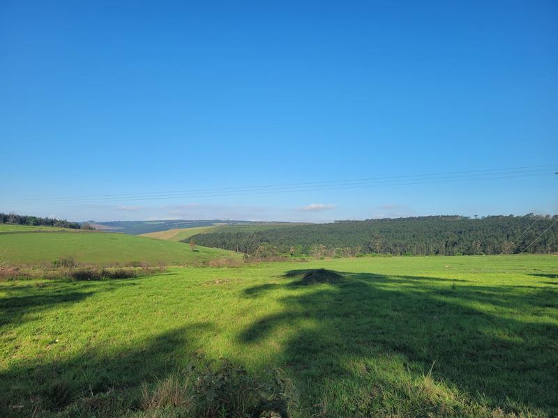 0 Bedroom Property for Sale in Harding KwaZulu-Natal