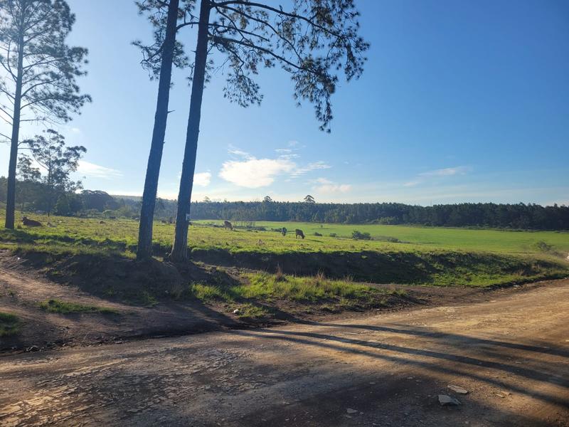 0 Bedroom Property for Sale in Harding KwaZulu-Natal