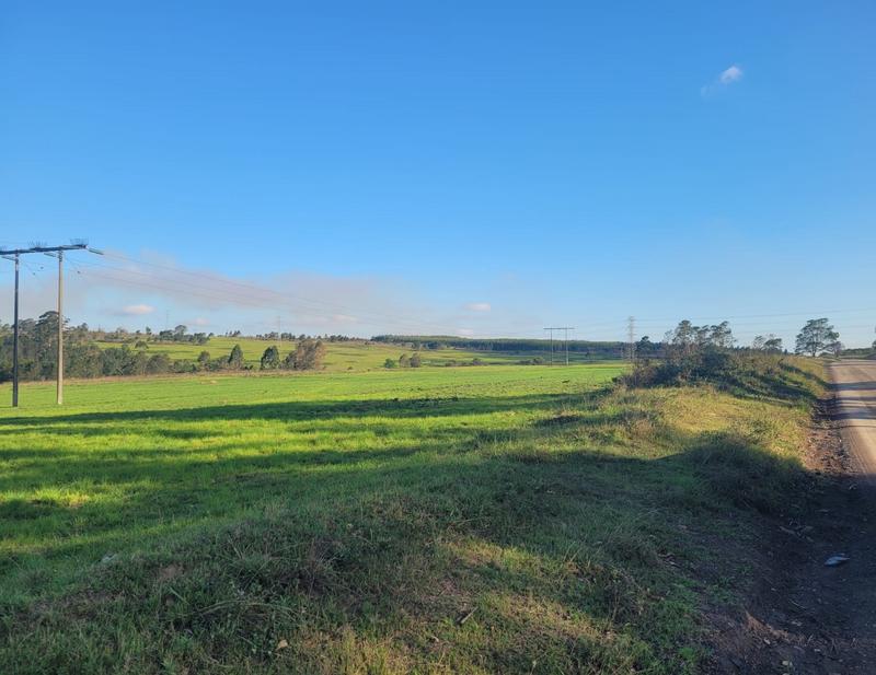 0 Bedroom Property for Sale in Harding KwaZulu-Natal