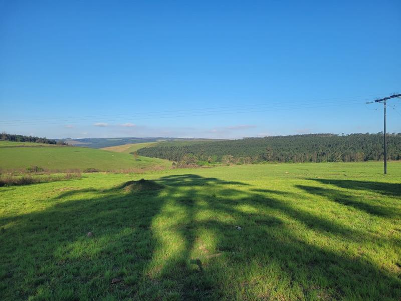 0 Bedroom Property for Sale in Harding KwaZulu-Natal