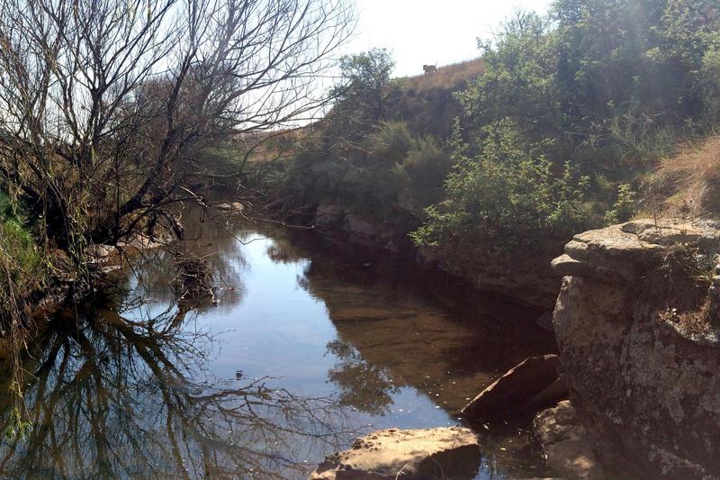 3 Bedroom Property for Sale in Rosetta KwaZulu-Natal