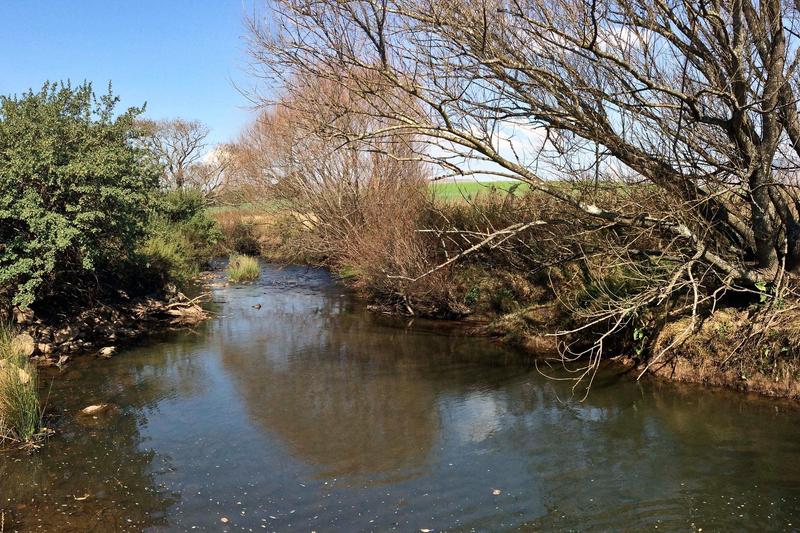 3 Bedroom Property for Sale in Rosetta KwaZulu-Natal