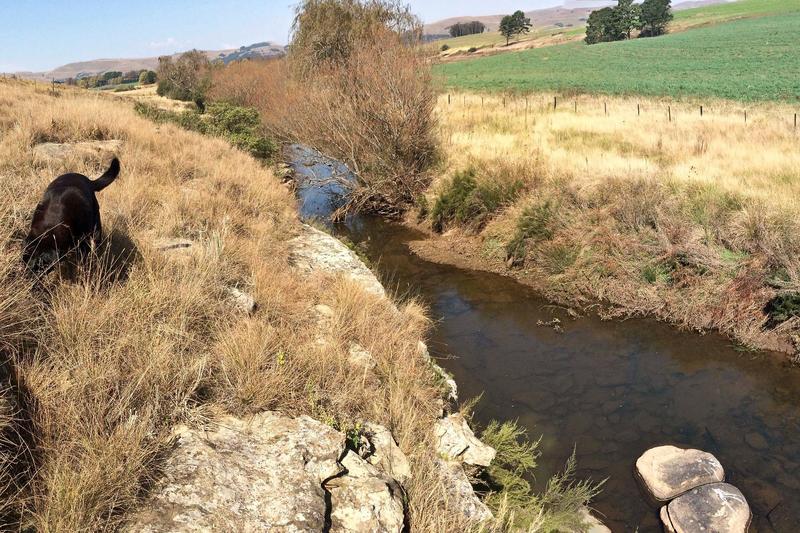 3 Bedroom Property for Sale in Rosetta KwaZulu-Natal