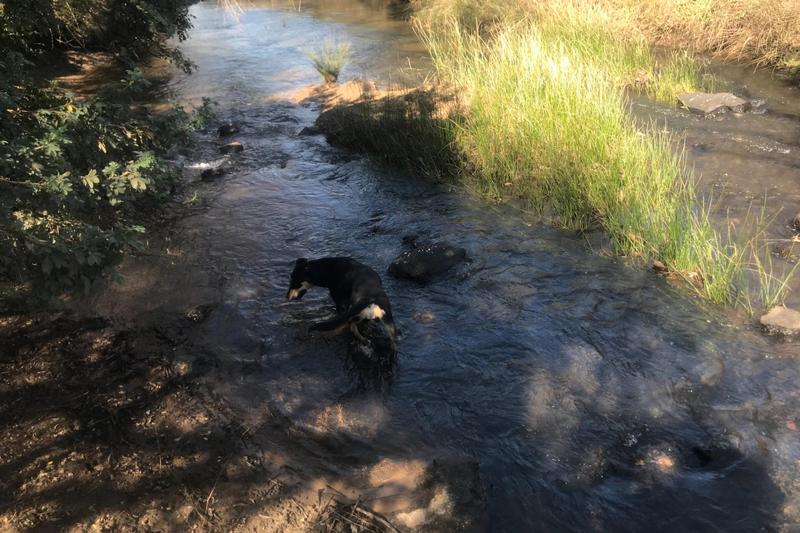 3 Bedroom Property for Sale in Rosetta KwaZulu-Natal