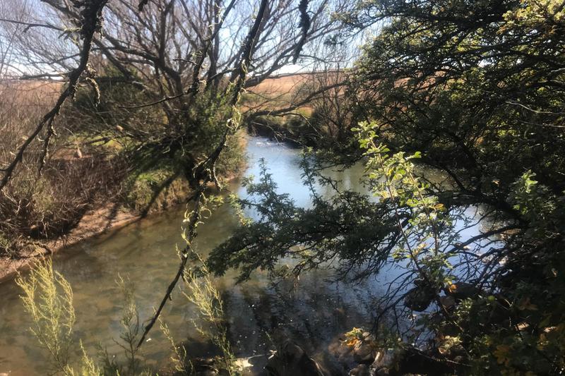 3 Bedroom Property for Sale in Rosetta KwaZulu-Natal