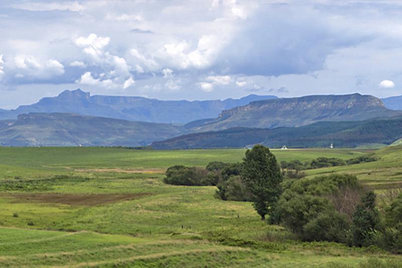 3 Bedroom Property for Sale in Rosetta KwaZulu-Natal