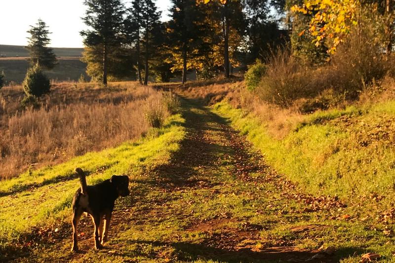 3 Bedroom Property for Sale in Rosetta KwaZulu-Natal