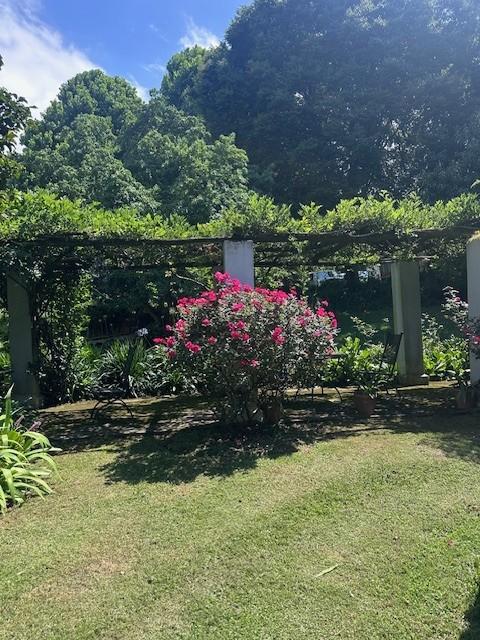 13 Bedroom Property for Sale in Dargle KwaZulu-Natal