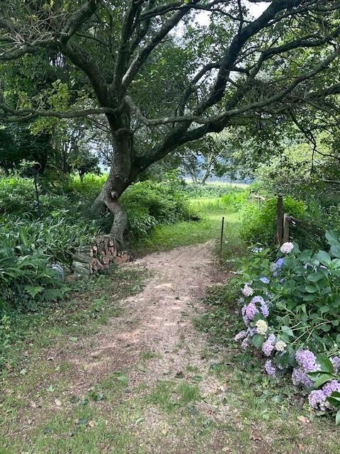 13 Bedroom Property for Sale in Dargle KwaZulu-Natal