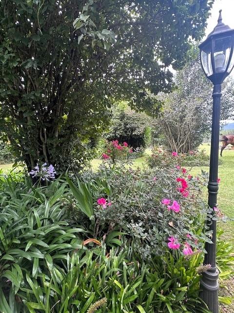 13 Bedroom Property for Sale in Dargle KwaZulu-Natal