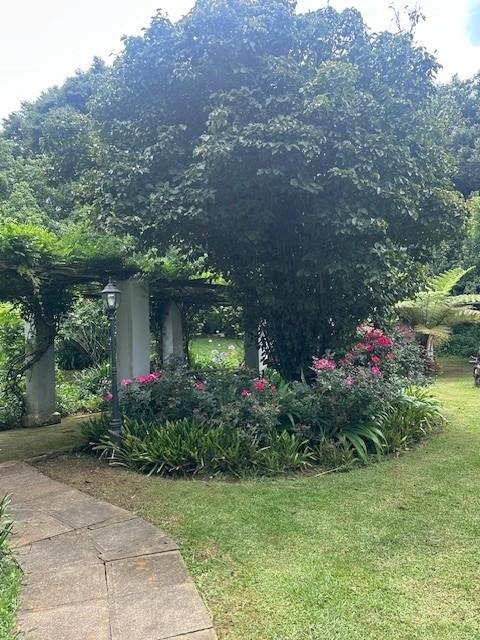 13 Bedroom Property for Sale in Dargle KwaZulu-Natal