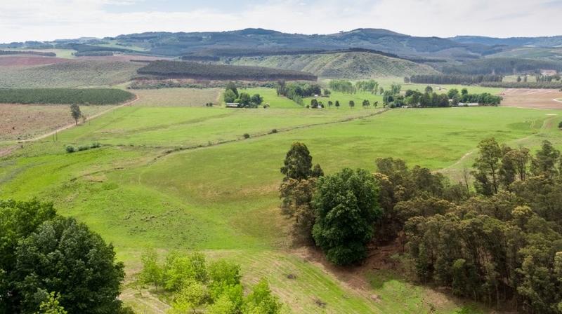 12 Bedroom Property for Sale in Lidgetton KwaZulu-Natal