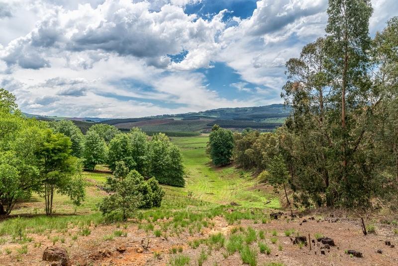 12 Bedroom Property for Sale in Lidgetton KwaZulu-Natal