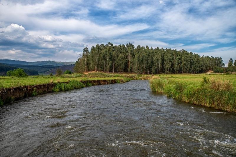 12 Bedroom Property for Sale in Lidgetton KwaZulu-Natal