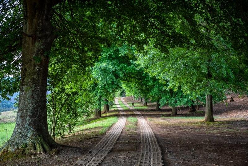 12 Bedroom Property for Sale in Lidgetton KwaZulu-Natal