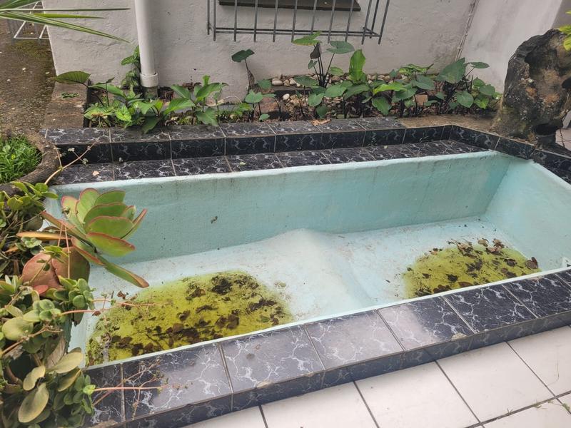 10 Bedroom Property for Sale in Manaba Beach KwaZulu-Natal