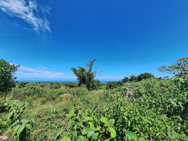 3 Bedroom Property for Sale in Roseneath KwaZulu-Natal