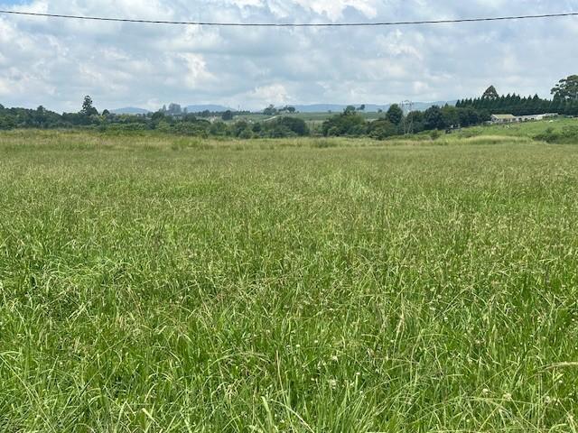 0 Bedroom Property for Sale in Greendale KwaZulu-Natal