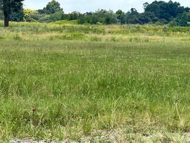 0 Bedroom Property for Sale in Greendale KwaZulu-Natal