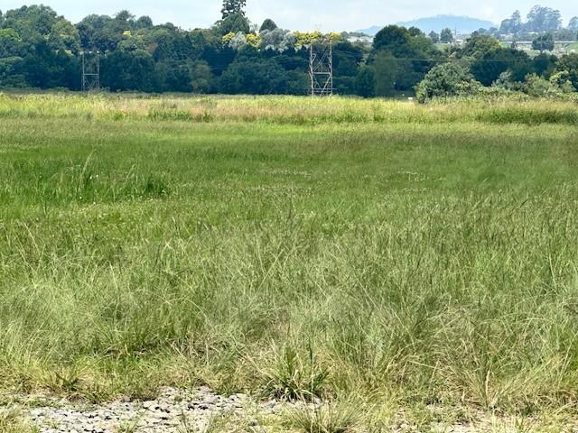 0 Bedroom Property for Sale in Greendale KwaZulu-Natal