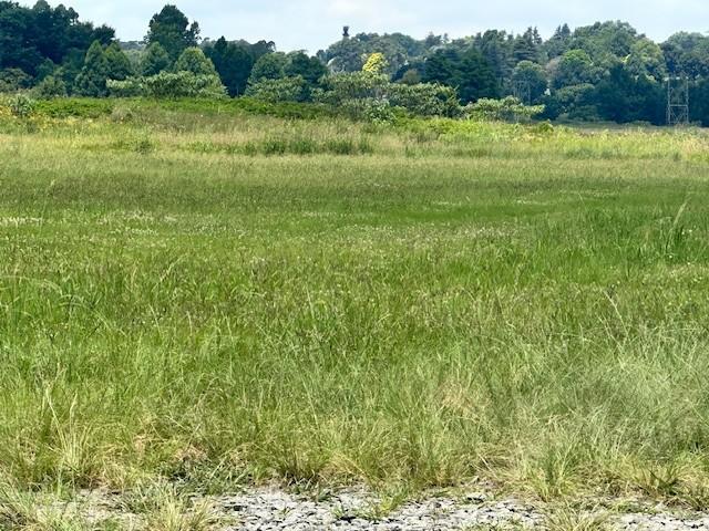 0 Bedroom Property for Sale in Greendale KwaZulu-Natal